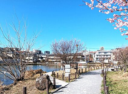 小池公園 846m