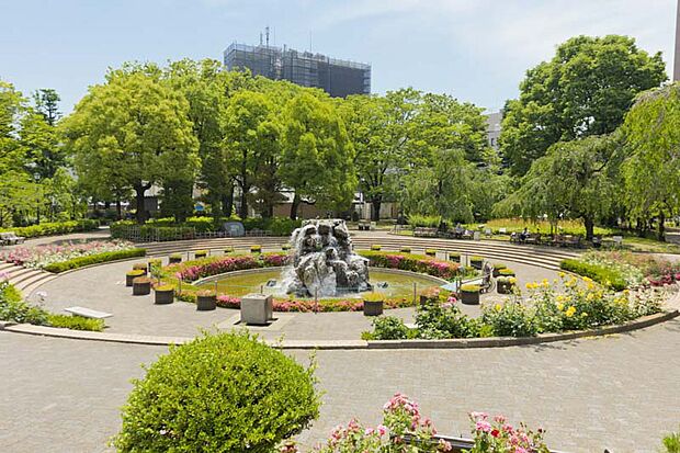 荒川公園(約800m)