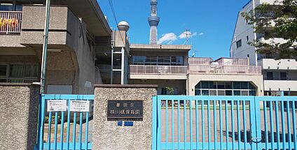 墨田区立 横川橋保育園 100m