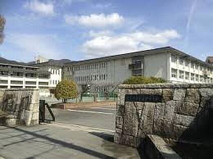 岐阜市立東長良中学校 1000ｍ(徒歩13分)