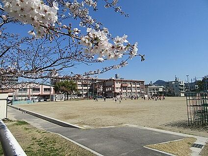 岐阜市立本荘小学校 480ｍ(徒歩6分)