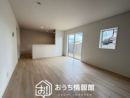 現地写真(リビング)