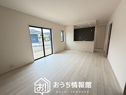 現地写真（リビング）