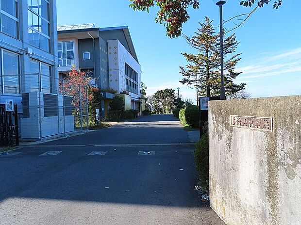 多治見市立多治見中学校(約600m)