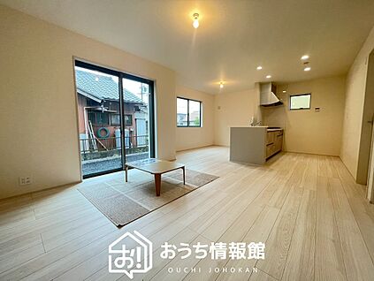 現地写真（リビング）