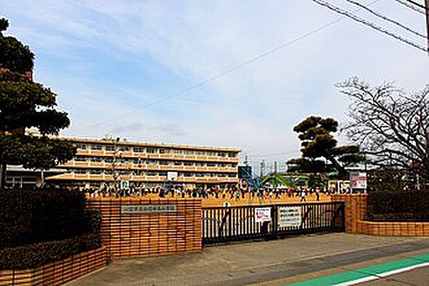 一宮市立小信中島小学校（約550m）