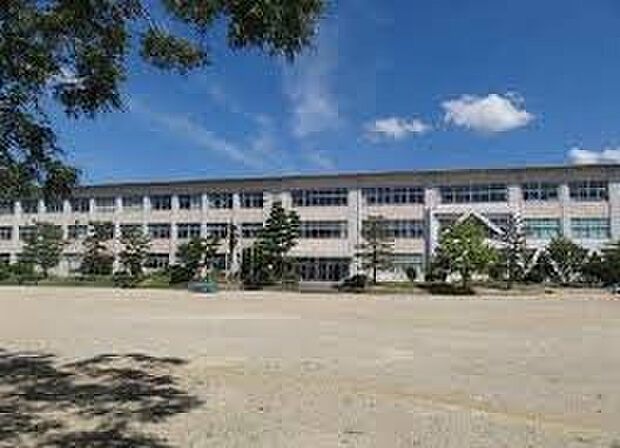 犬山市立城東小学校(約1,100m)