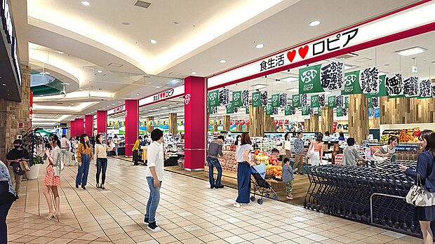 ロピアモレラ岐阜店（約470m）