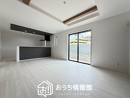現地写真(リビング)