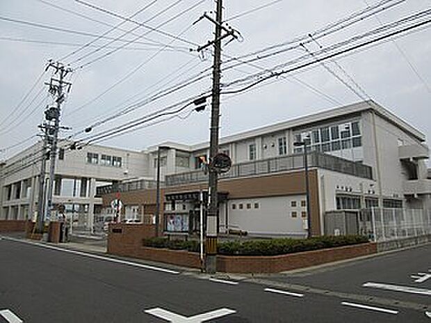 岐阜市立鶉小学校（約800m）