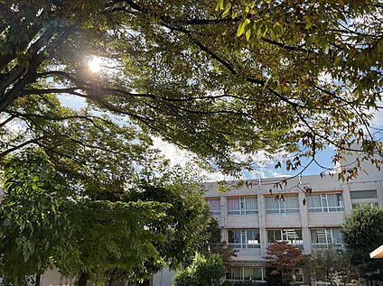 桑名市立日進小学校 290ｍ(徒歩4分)