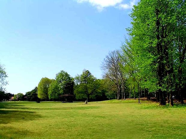 野川公園(約1,000m)