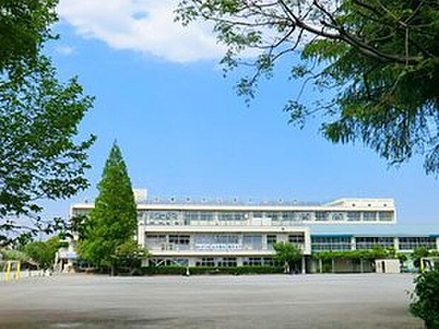 武蔵野市立第四小学校(約700m)
