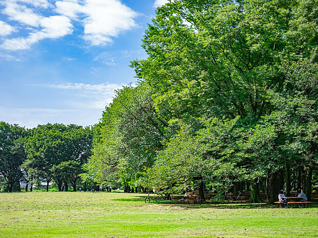 小金井公園(約84m)