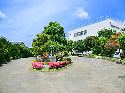 府中市立南町小学校 375ｍ(徒歩5分)