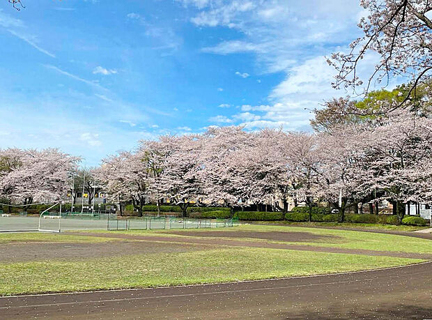小平市立中央公園(約1,500m)