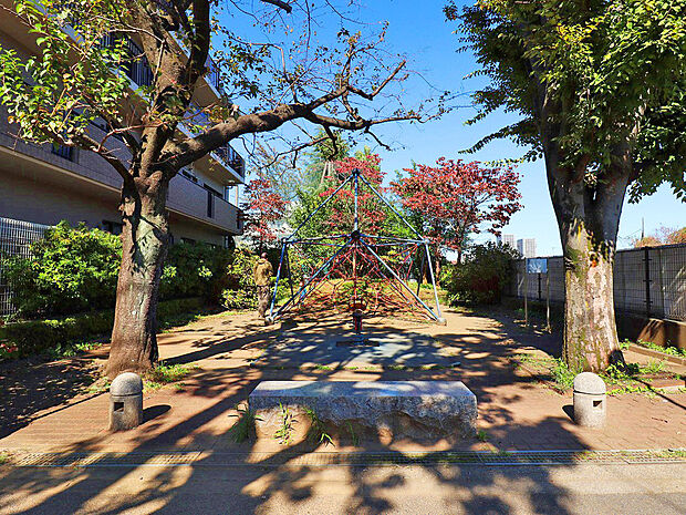 ハナミズキ公園(約860m)