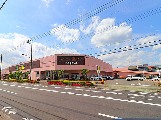 いなげやあきる野雨間店(約500m)