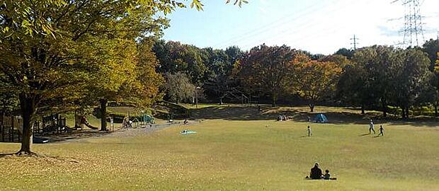 王禅寺ふるさと公園