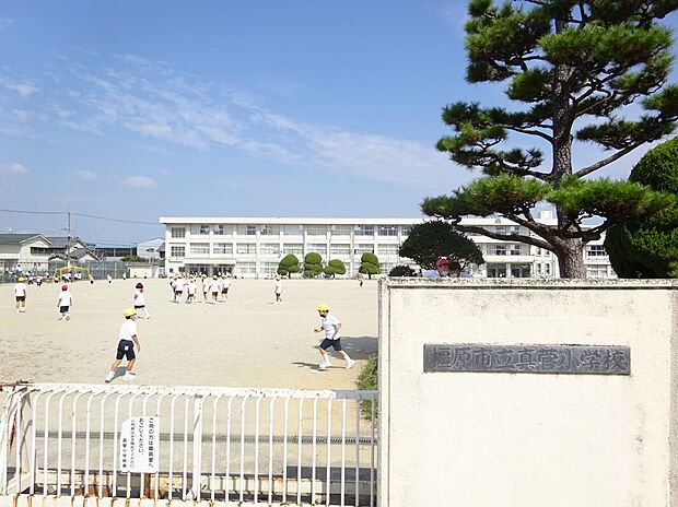 橿原市立真菅小学校(約858m)