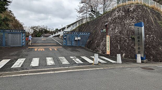 桜井市立桜井小学校(約1,522m)