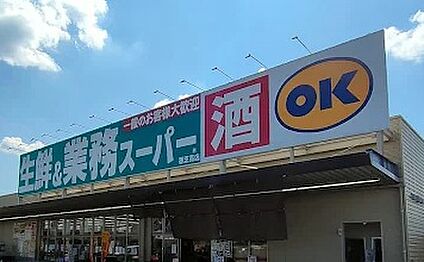 ボトルワールドOK(オーケー) 香芝高店 719ｍ(徒歩9分)