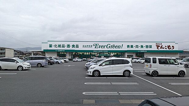 スーパーエバグリーン田原本店(約887m)