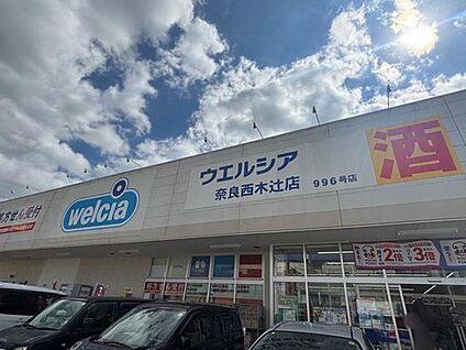 ウエルシア奈良西木辻店 1020ｍ(徒歩13分/自転車5分)
