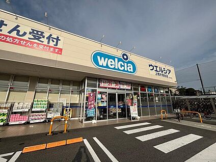 ウエルシア上牧片岡台店 1140m(徒歩15分)