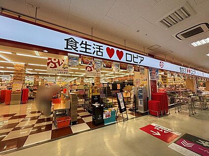 ロピア大和郡山店 5200m(徒歩65分/車11分)