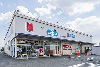 ウエルシア豊川駅東口店 860m