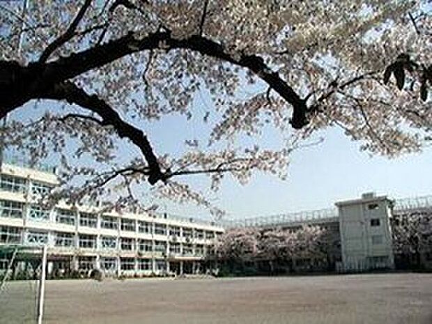 練馬区立上石神井中学校（約1,000m）