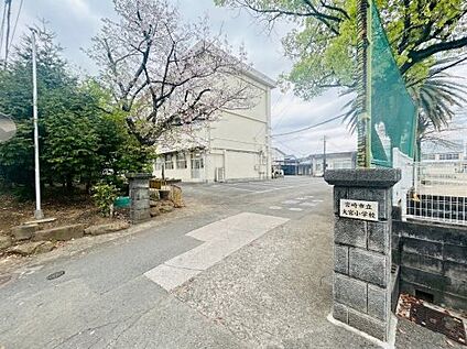 宮崎市立大宮小学校 徒歩1800m
