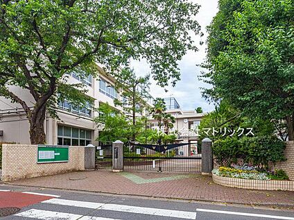 練馬区立開進第一中学校 737m(徒歩10分)