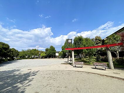 練馬区立高松中央公園 450m(徒歩6分)