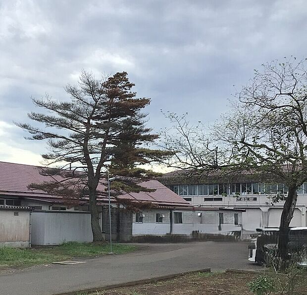 根白石小学校(約2m)