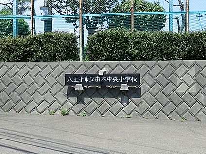 八王子市立由木中央小学校 600m(8分)
