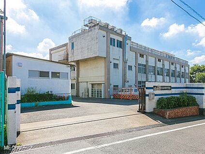 八王子市立由木中学校 300m(4分)