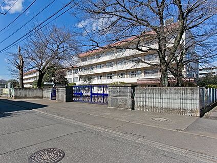 小金井市立小金井第四小学校 572m(8分)