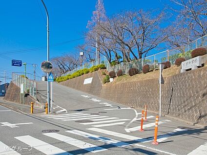 伊勢原市立成瀬中学校 800m(10分)
