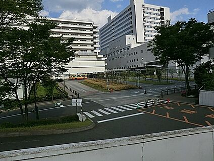 東海大学医学部付属病院 1200m(15分)