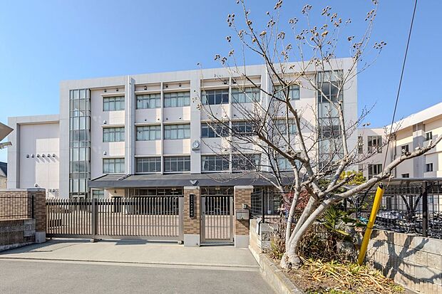 八尾市立大正中学校（約990m）