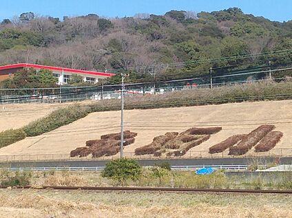 豊川市立赤坂小学校 436ｍ(徒歩6分)