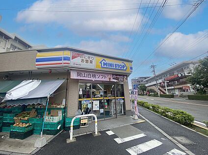 ミニストップ東つつじヶ丘店 295ｍ
