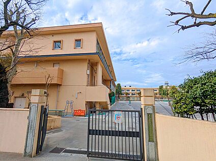 赤塚第一中学校 500ｍ