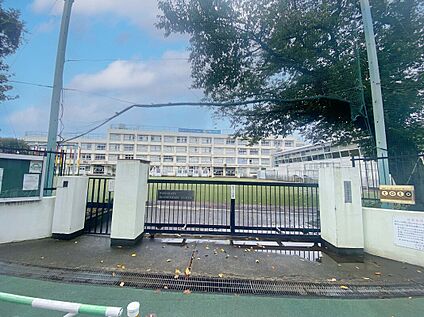 渋谷区立中幡小学校 144ｍ