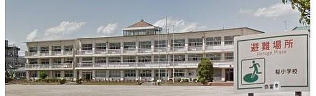 弥富市立桜小学校（約600m）