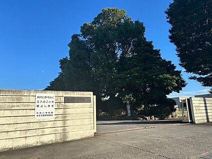 本庄市立中央小学校 410m(徒歩６分)