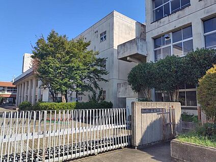 熊谷市立江南中学校 300m (徒歩4分)