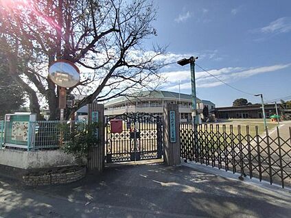 めぐみの木こども園 620m(徒歩8分)